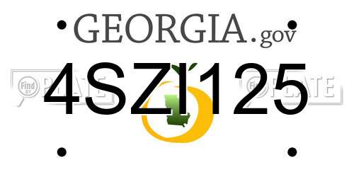 4SZI125 Georgia License Plate