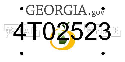 4T02523 Georgia License Plate