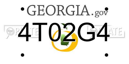 4T02G4 Georgia License Plate