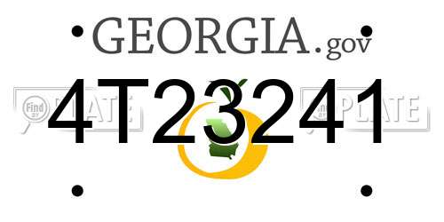 4T23241 Georgia License Plate