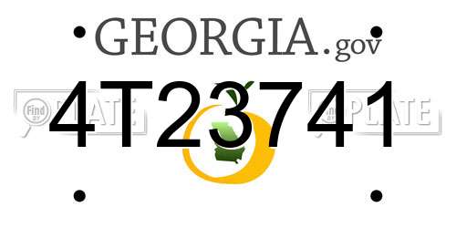 4T23741 Georgia License Plate