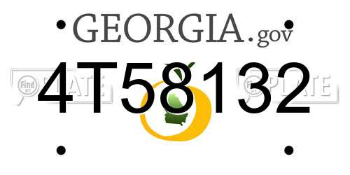 4T58132 Georgia License Plate