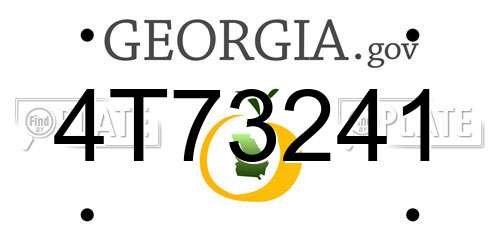 4T73241 Georgia License Plate