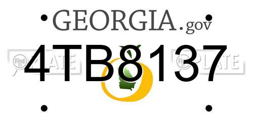 4TB8137 Georgia License Plate