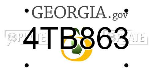 4TB863 Georgia License Plate