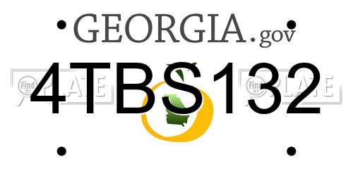4TBS132 Georgia License Plate
