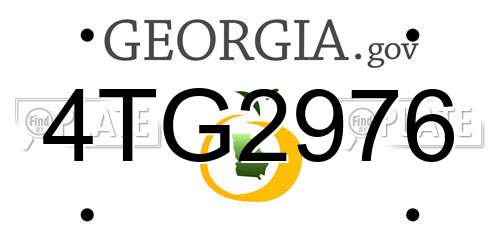 4TG2976 Georgia License Plate