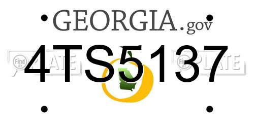4TS5137 Georgia License Plate