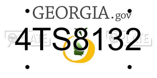 4TS8132 Georgia License Plate