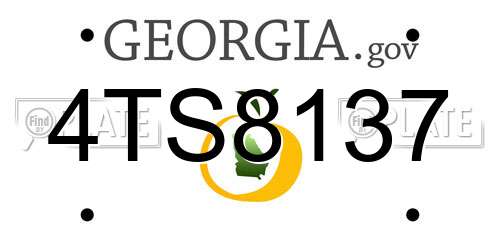 4TS8137 Georgia License Plate