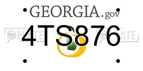4TS876 Georgia License Plate