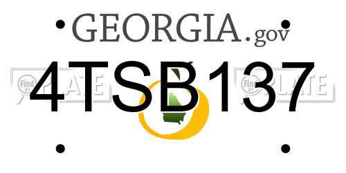 4TSB137 Georgia License Plate