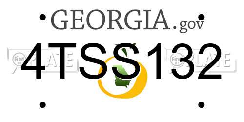 4TSS132 Georgia License Plate