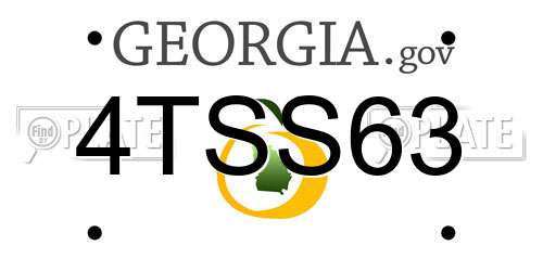 4TSS63 Georgia License Plate