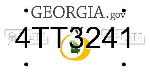4TT3241 Georgia License Plate