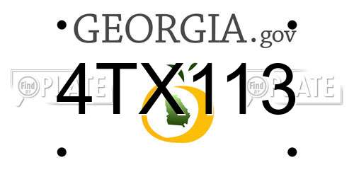 4TX113 Georgia License Plate