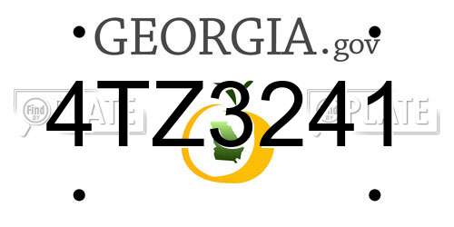 4TZ3241 Georgia License Plate