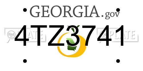 4TZ3741 Georgia License Plate