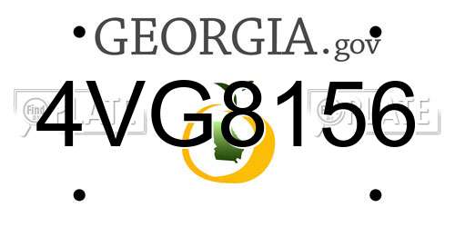 4VG8156 Georgia License Plate