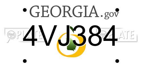 4VJ384 Georgia License Plate