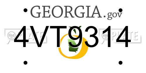 4VT9314 Georgia License Plate