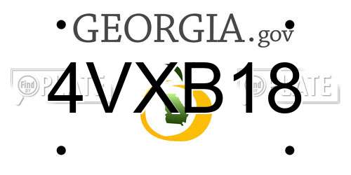 4VXB18 Georgia License Plate