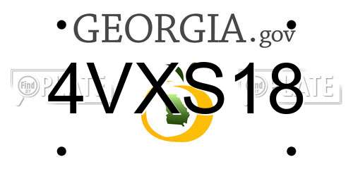 4VXS18 Georgia License Plate