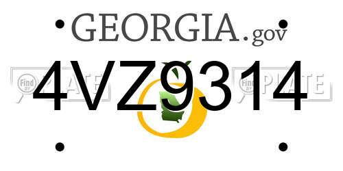 4VZ9314 Georgia License Plate