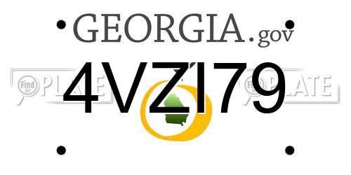 4VZI79 Georgia License Plate