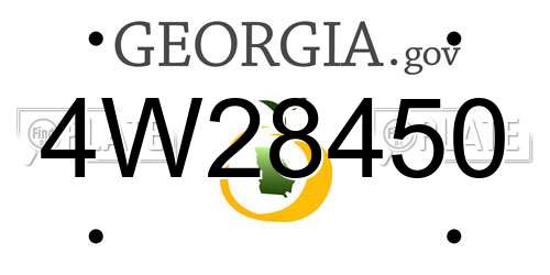4W28450 Georgia License Plate