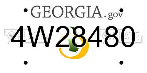 4W28480 Georgia License Plate
