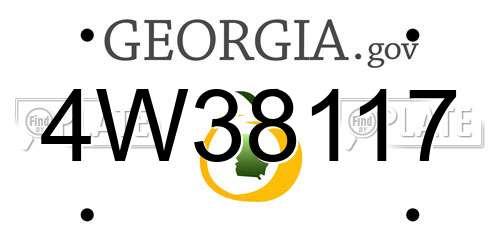 4W38117 Georgia License Plate