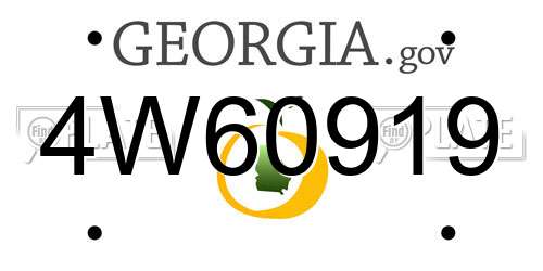 4W60919 Georgia License Plate