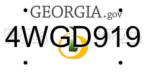 4WGD919 Georgia License Plate