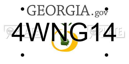 4WNG14 Georgia License Plate