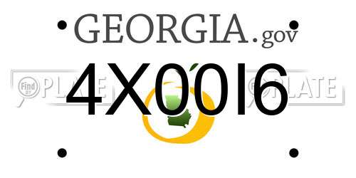 4X00I6 Georgia License Plate