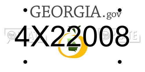 4X22008 Georgia License Plate