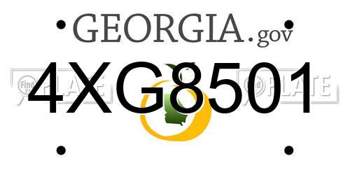 4XG8501 Georgia License Plate