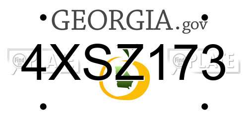 4XSZ173 Georgia License Plate