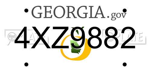 4XZ9882 Georgia License Plate