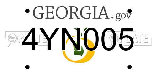 4YN005 Georgia License Plate