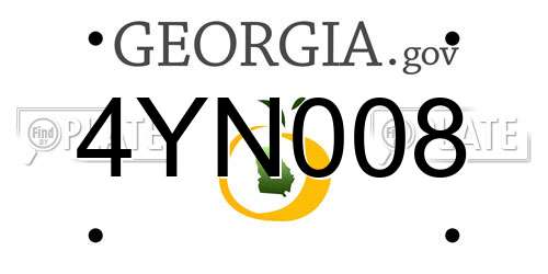 4YN008 Georgia License Plate