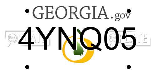 4YNQ05 Georgia License Plate
