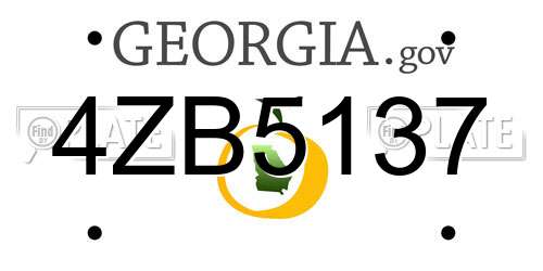 4ZB5137 Georgia License Plate