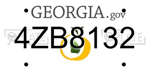 4ZB8132 Georgia License Plate