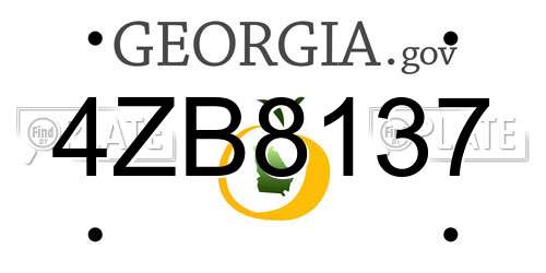 4ZB8137 Georgia License Plate