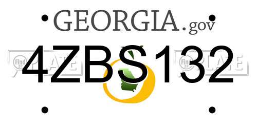 4ZBS132 Georgia License Plate