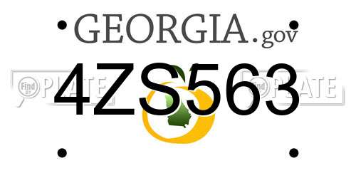 4ZS563 Georgia License Plate