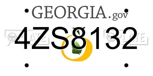 4ZS8132 Georgia License Plate