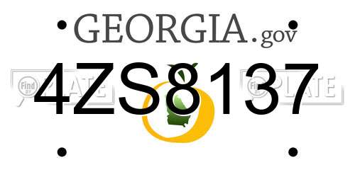 4ZS8137 Georgia License Plate